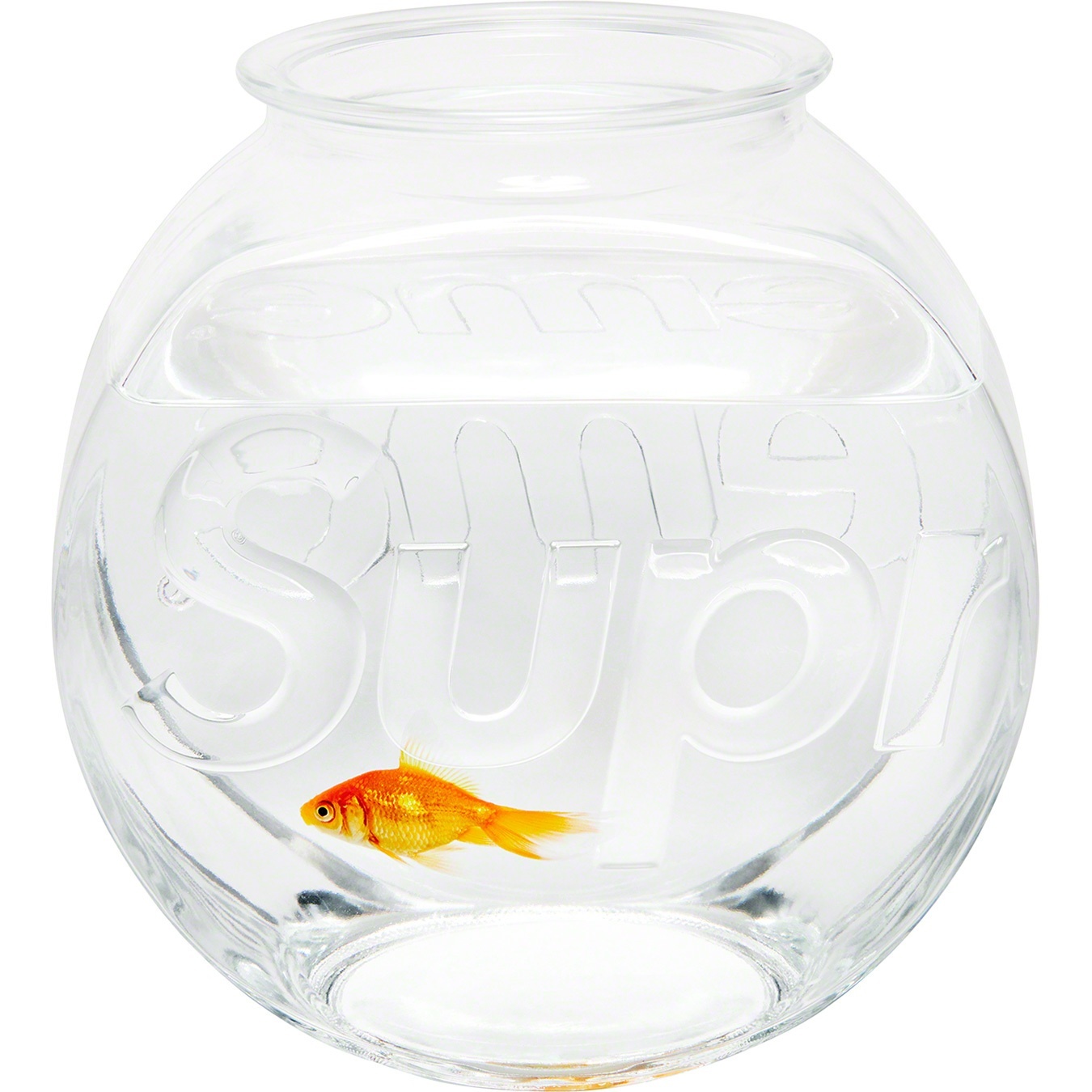 Fish Bowl view 2